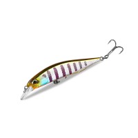 Asinia Sea Dragon 85F