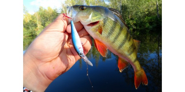 Як і яку рибу ловити навесні